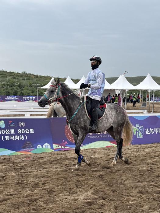 2025套马沟国际马术耐力赛圆满落幕 国际裁判团队