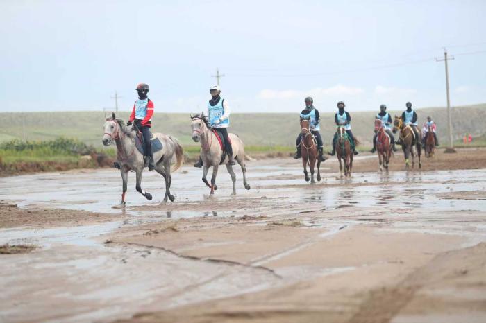 2025套马沟国际马术耐力赛圆满落幕 国际裁判团队